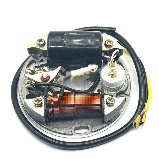 Puch Maxi E50 Zündung-Set 6V/17W inkl. Polrad HM-Ersatzteile